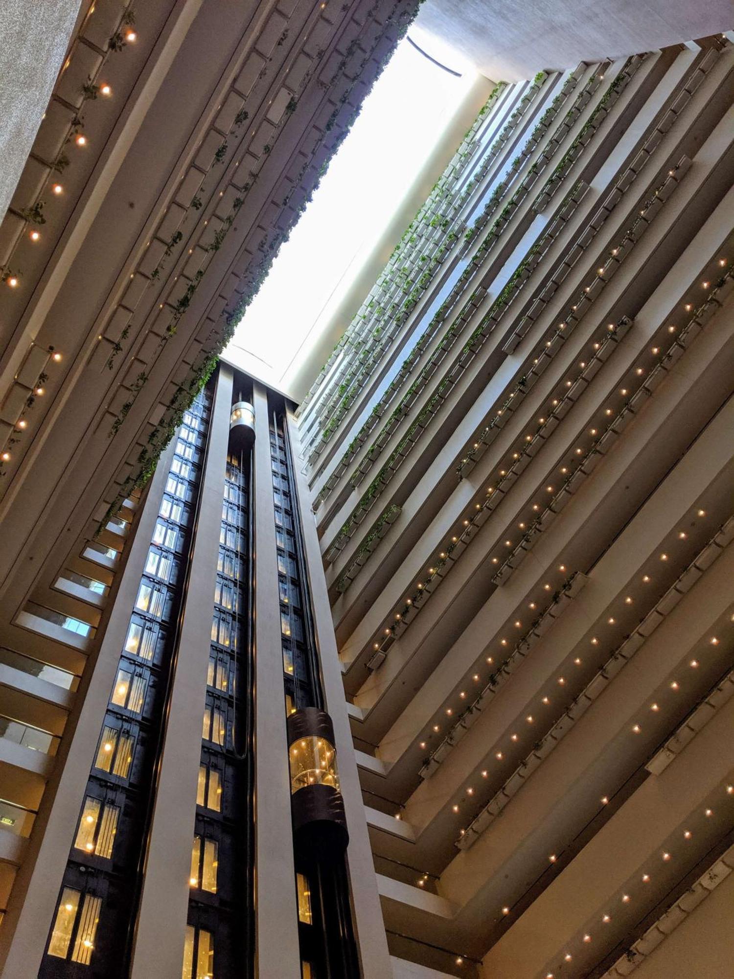 Hilton Brisbane Hotel Esterno foto